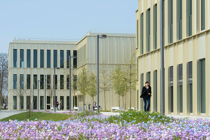 HEC Paris masters in marketing