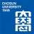 Chosun University Logo