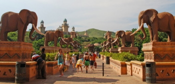South Africa, Australia, UK: University News main image